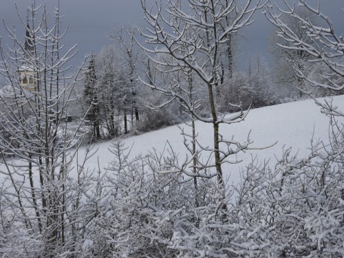Viry,neige,hiver,jura,Lac Genin,Charix