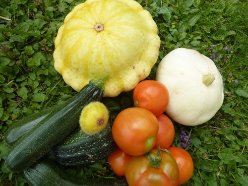 jardin, viry, jura, salade, courgettes,pluie,été